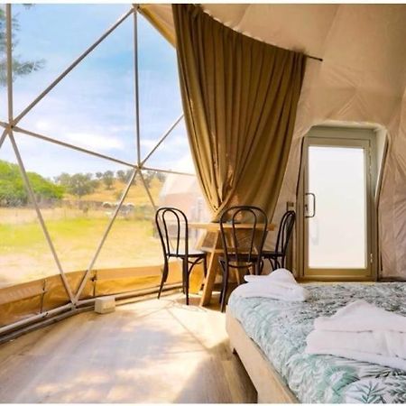 הוילה טורדה Caravans Park & Glamping Tents In The Vineyard מראה חיצוני תמונה