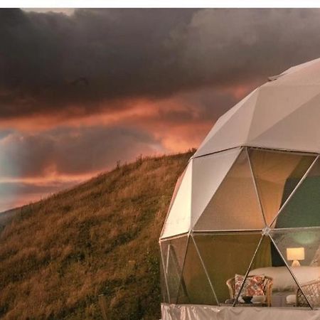 הוילה טורדה Caravans Park & Glamping Tents In The Vineyard מראה חיצוני תמונה