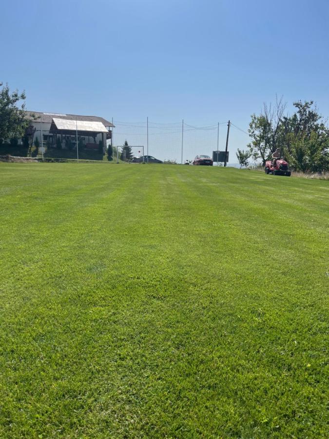 הוילה טורדה Caravans Park & Glamping Tents In The Vineyard מראה חיצוני תמונה
