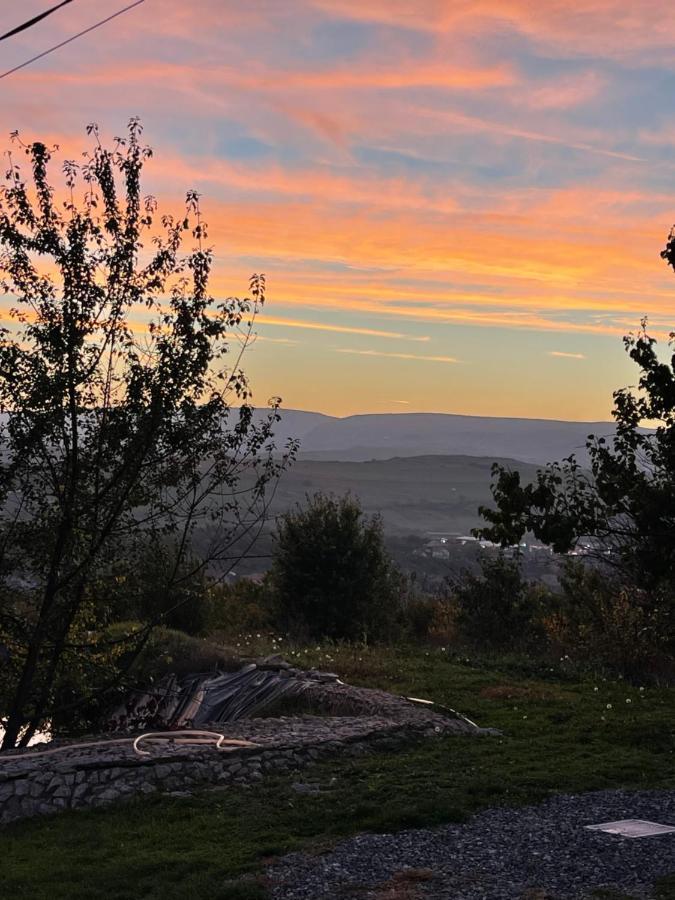 הוילה טורדה Caravans Park & Glamping Tents In The Vineyard מראה חיצוני תמונה