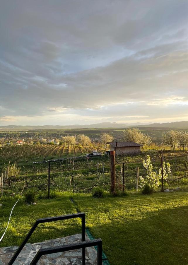 הוילה טורדה Caravans Park & Glamping Tents In The Vineyard מראה חיצוני תמונה