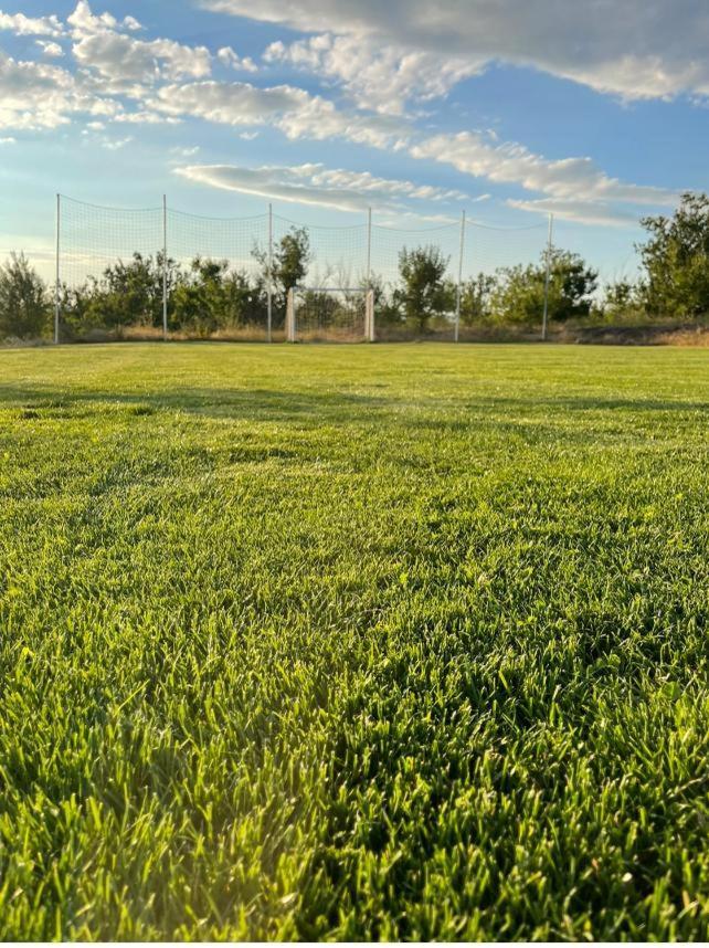 הוילה טורדה Caravans Park & Glamping Tents In The Vineyard מראה חיצוני תמונה