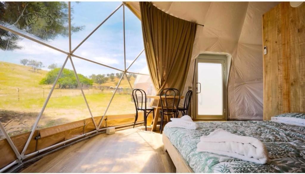 הוילה טורדה Caravans Park & Glamping Tents In The Vineyard מראה חיצוני תמונה