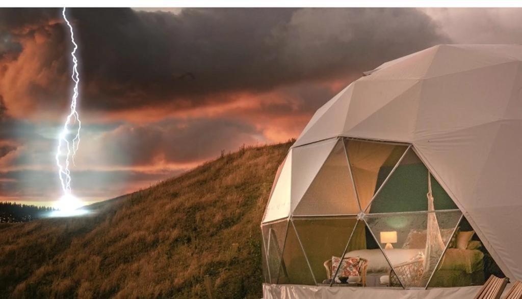 הוילה טורדה Caravans Park & Glamping Tents In The Vineyard מראה חיצוני תמונה